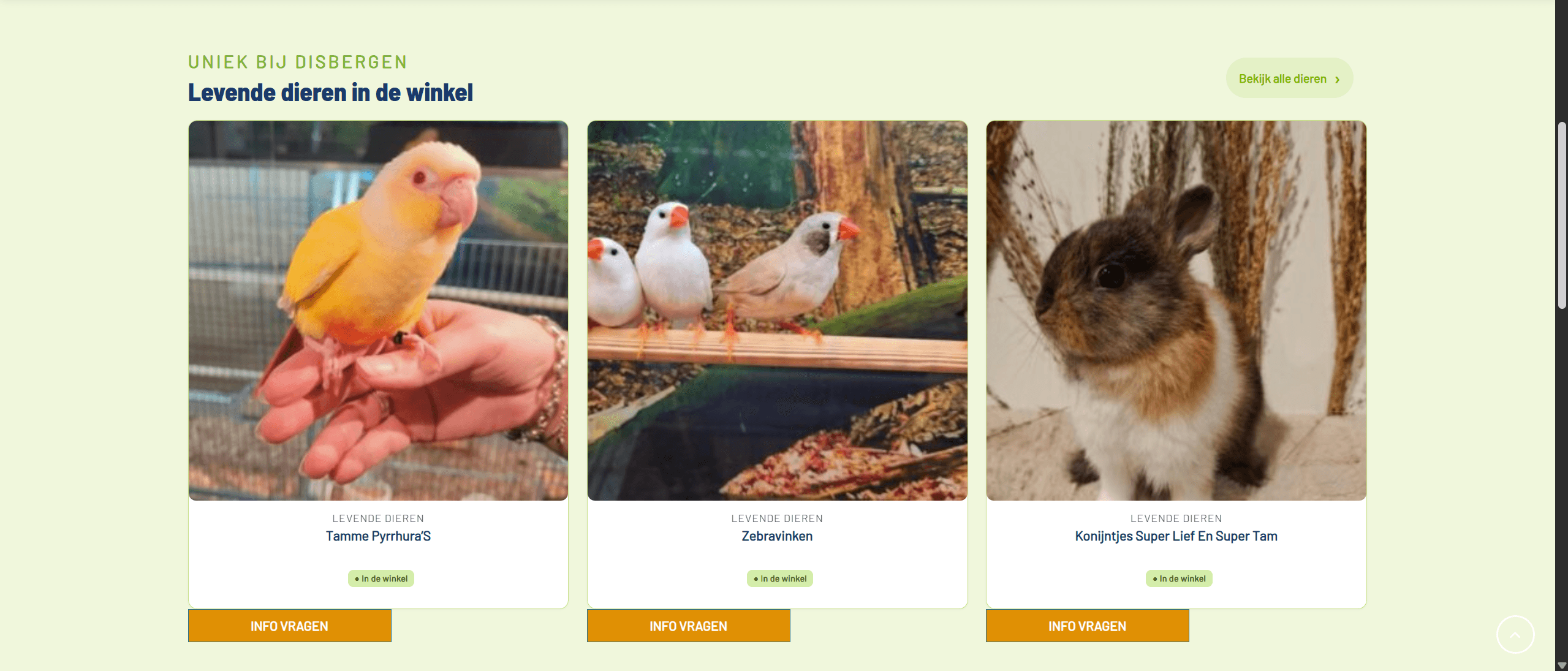 De vernieuwde site: overzichtelijke kaarten met de levende dieren als unieke eyecatcher.